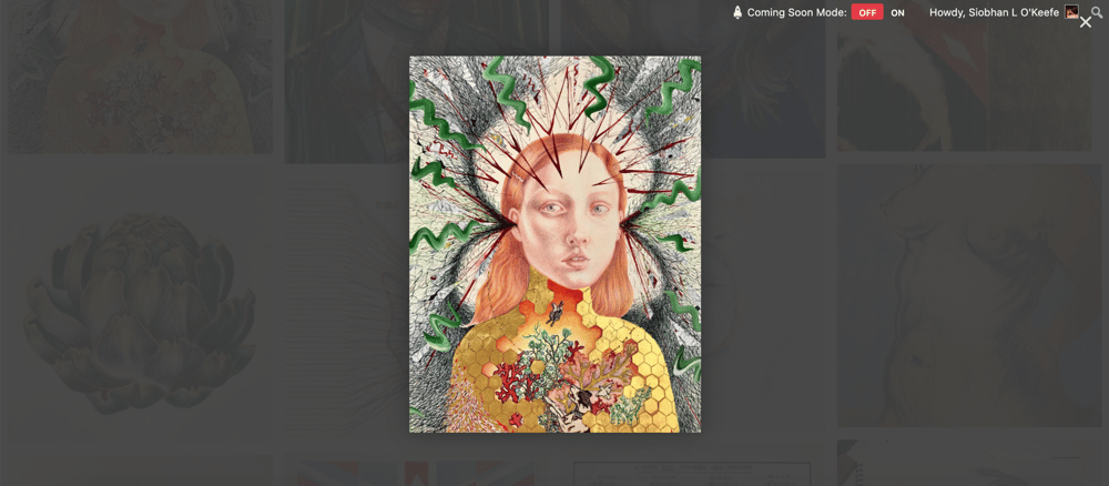 My portfolio site - image 3 - student project