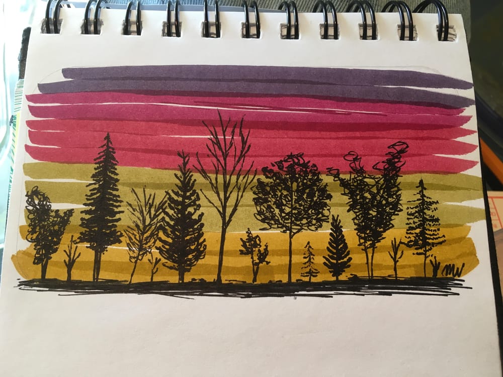 Shrubs and Seedlings Sunset Silhouette - image 1 - student project