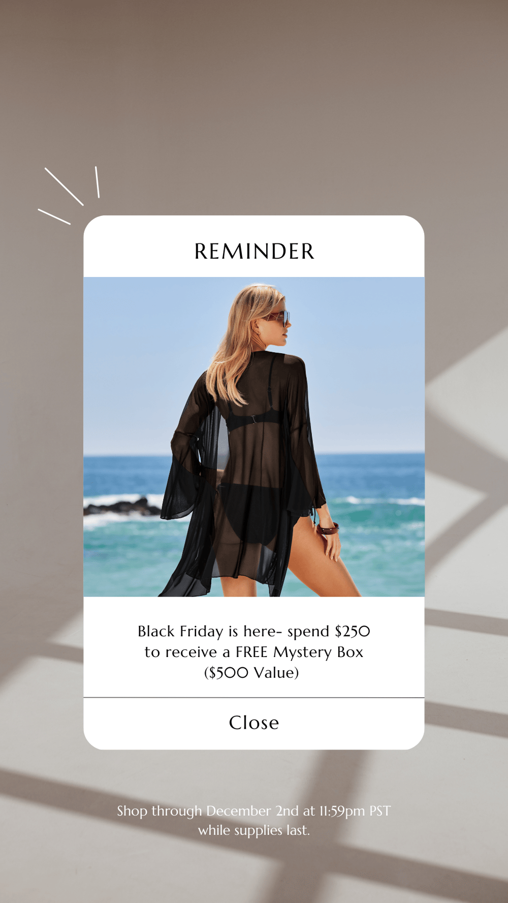 BECCA Swim Black Friday Campaign - image 5 - student project