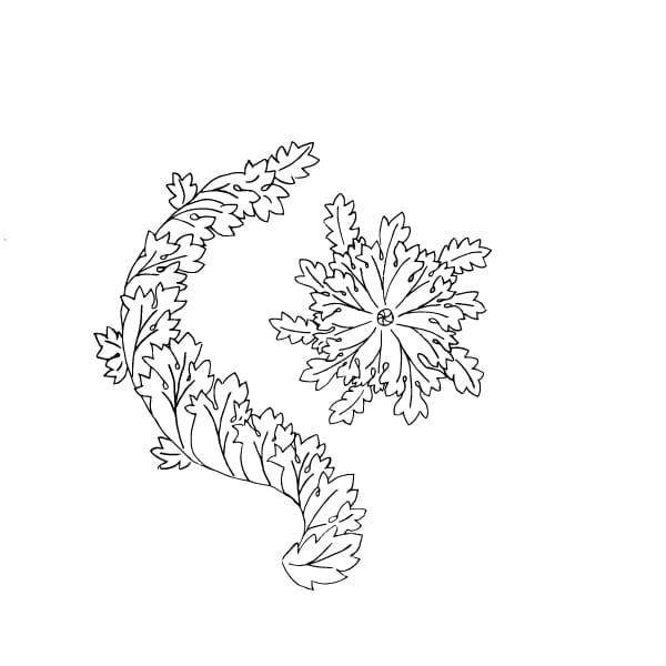 Acanthus Leaves Pattern - image 1 - student project