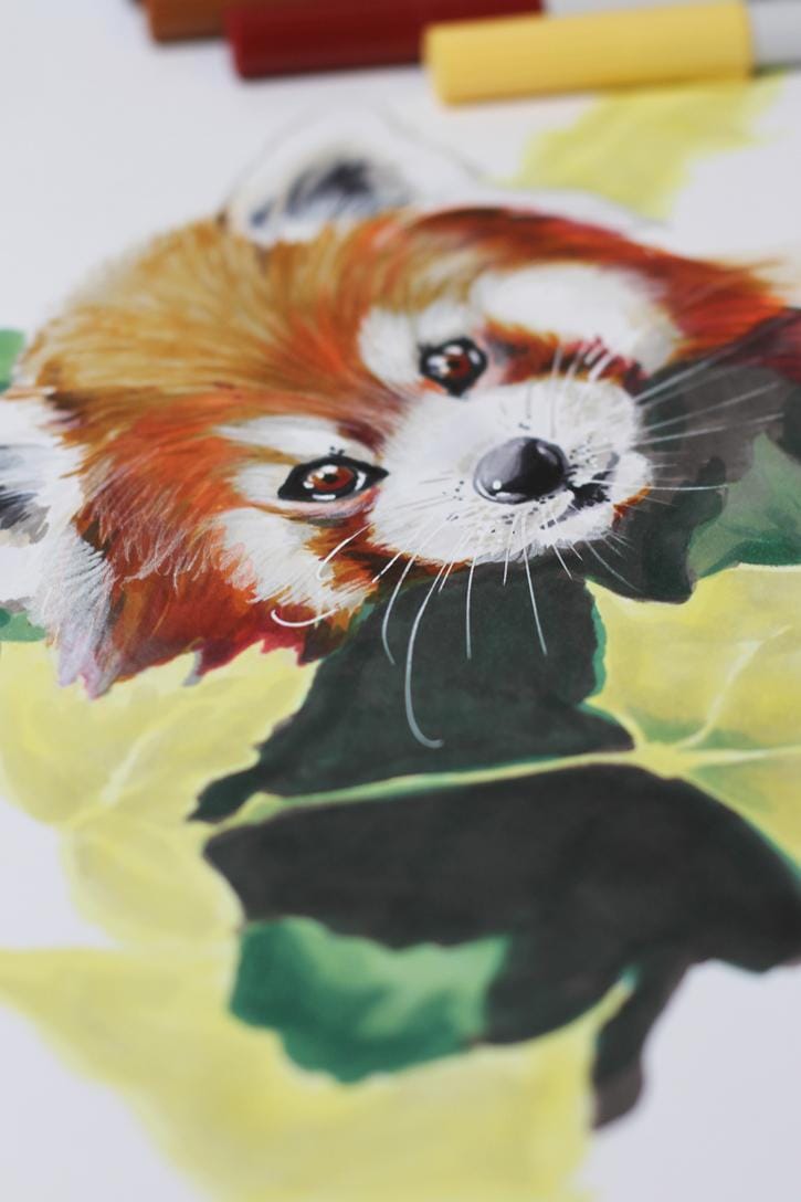 Moulin Rouge, Paris Café and Red Panda - image 3 - student project