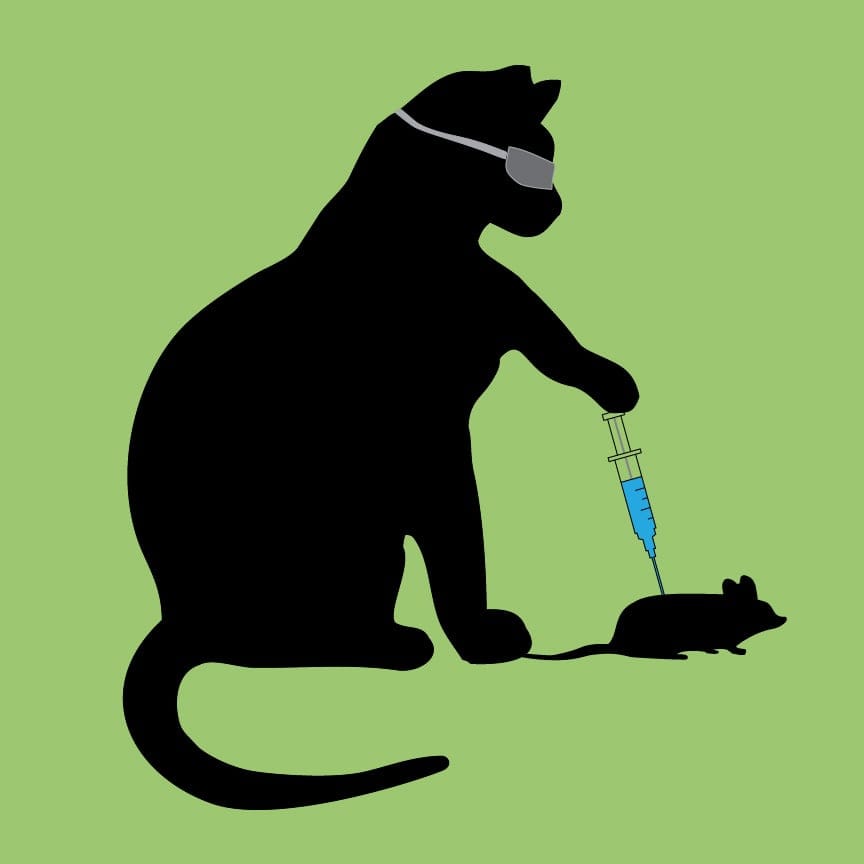 Cat Scientist - image 4 - student project