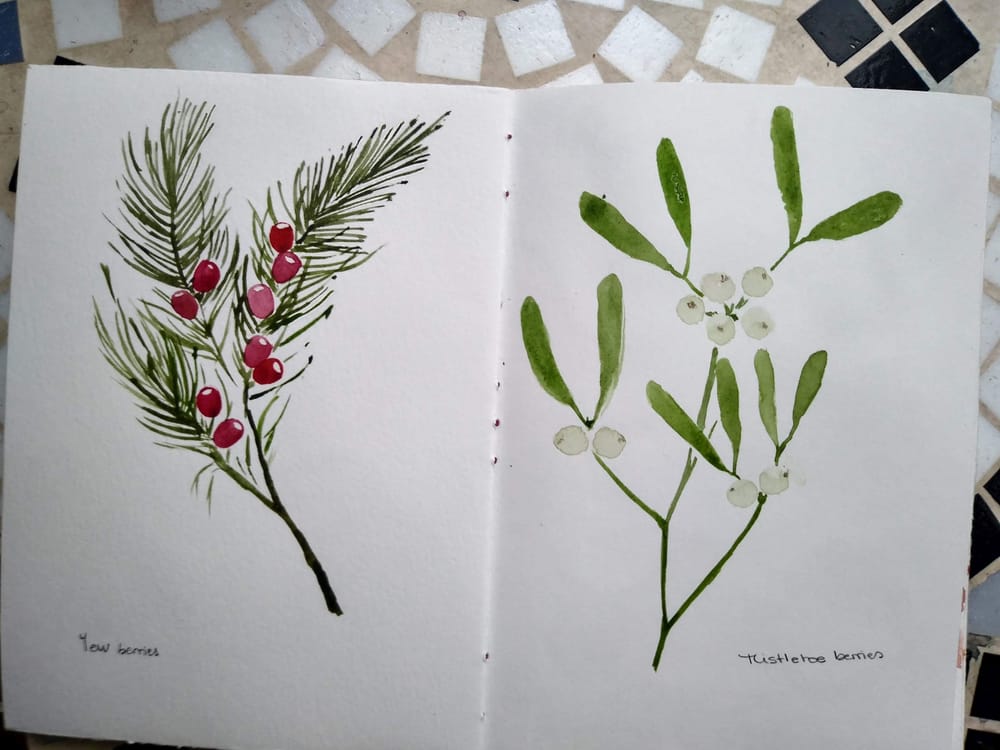 Berries everywhere - image 6 - student project