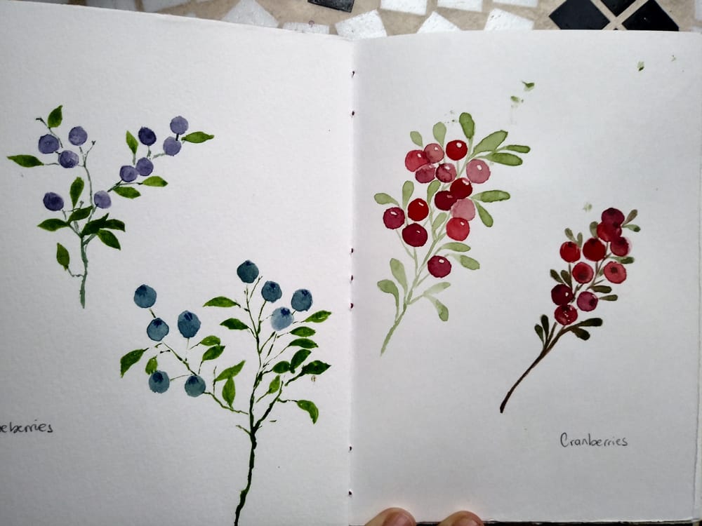 Berries everywhere - image 2 - student project