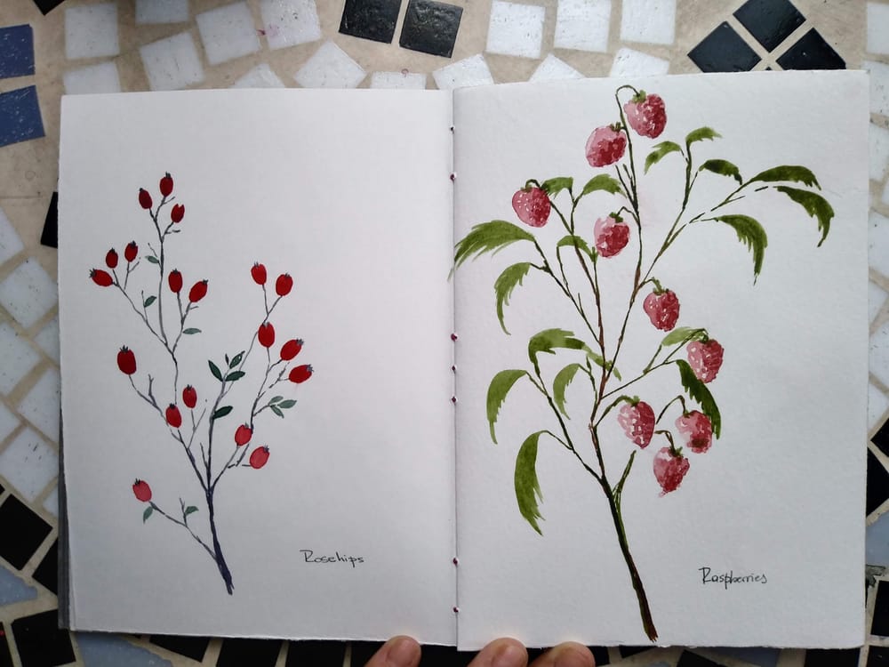 Berries everywhere - image 4 - student project
