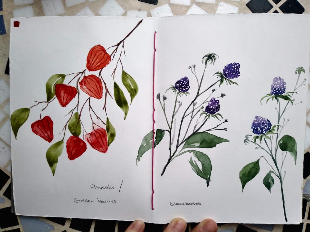 Berries everywhere - image 5 - student project