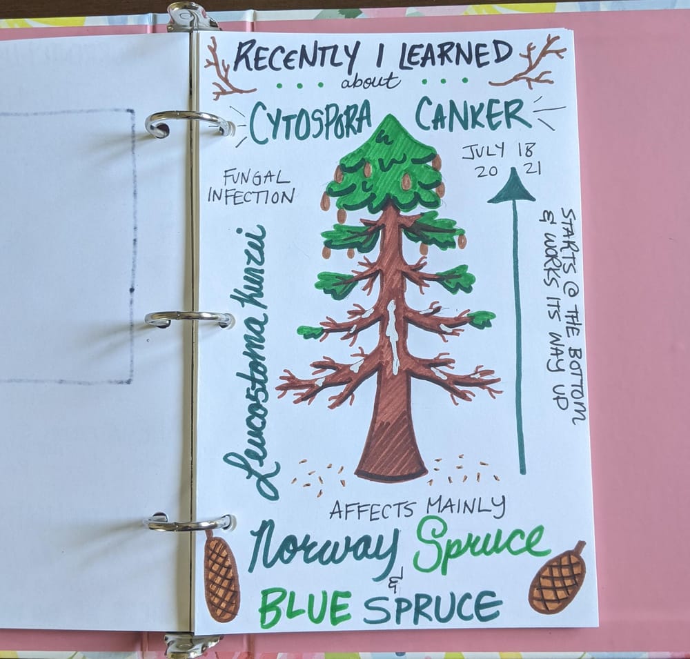 14 Days of Illustrated Journaling - image 2 - student project