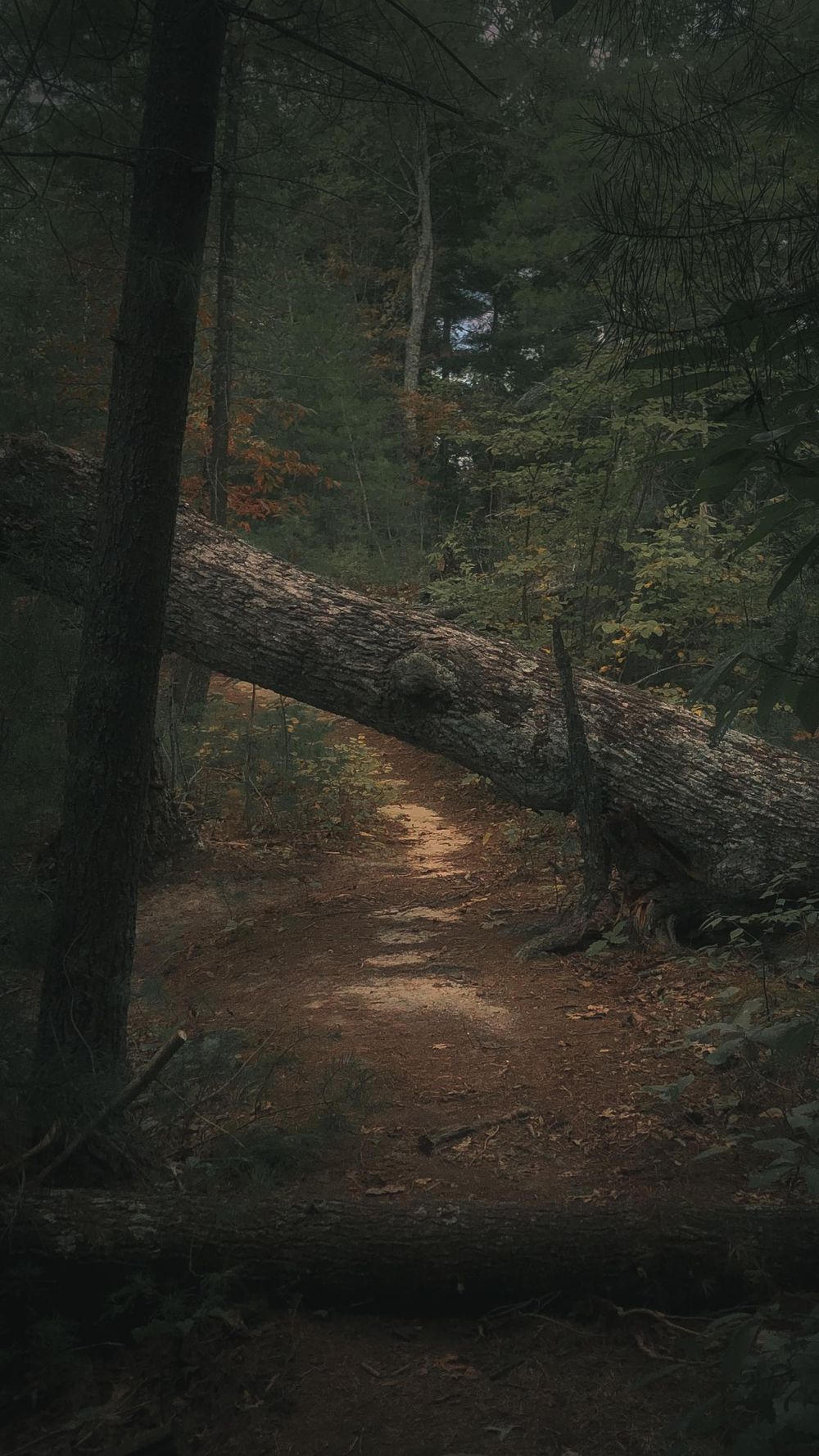 Red River Gorge - image 1 - student project