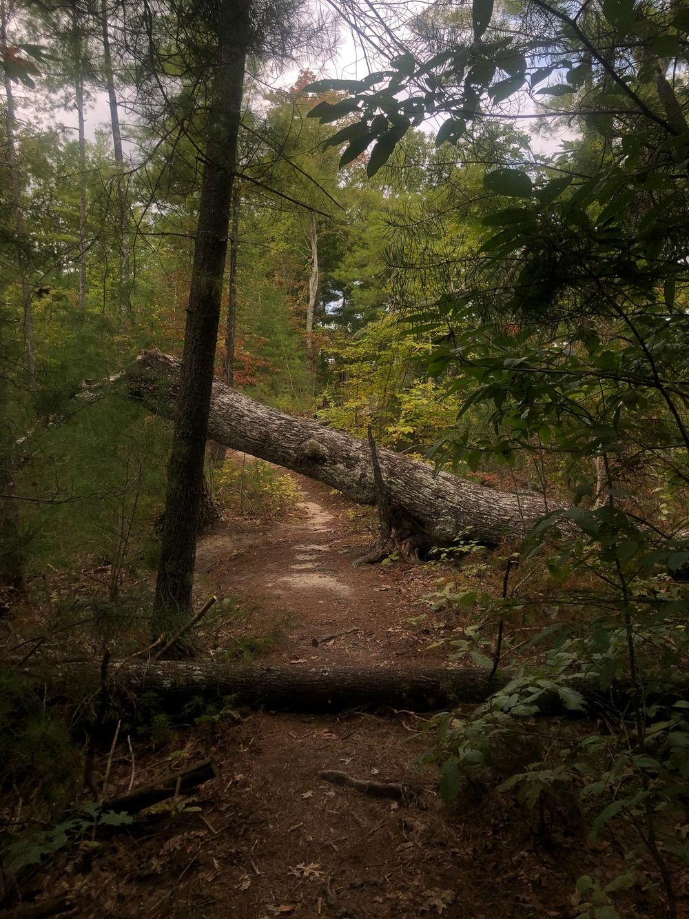 Red River Gorge - image 2 - student project