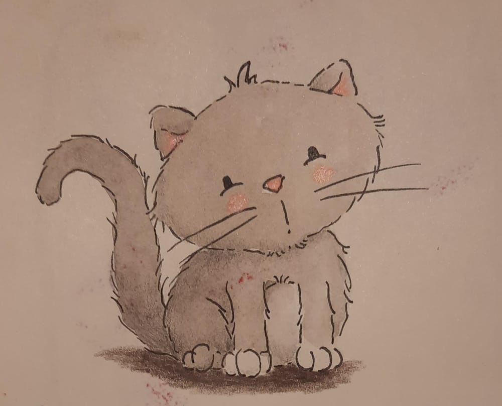 Cute cats practice - image 7 - student project