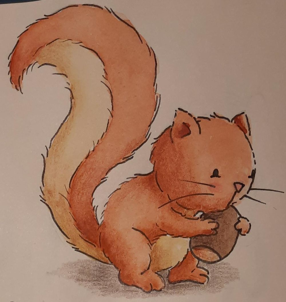 Cute squirrels - image 9 - student project