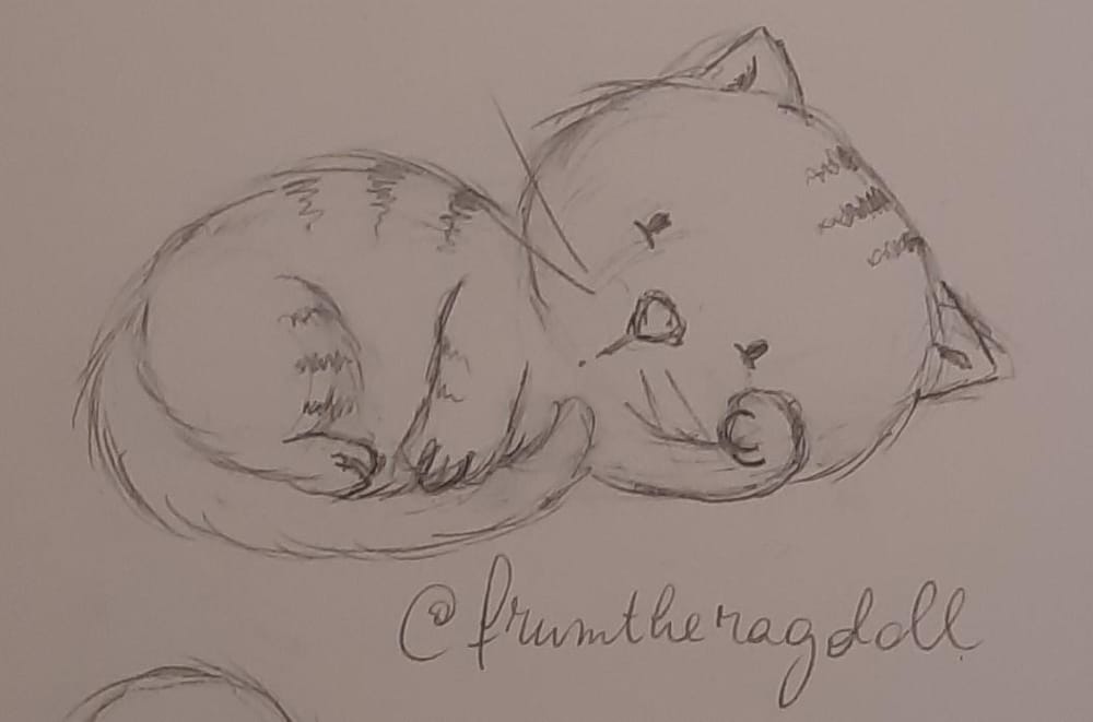 Cute cats practice - image 12 - student project