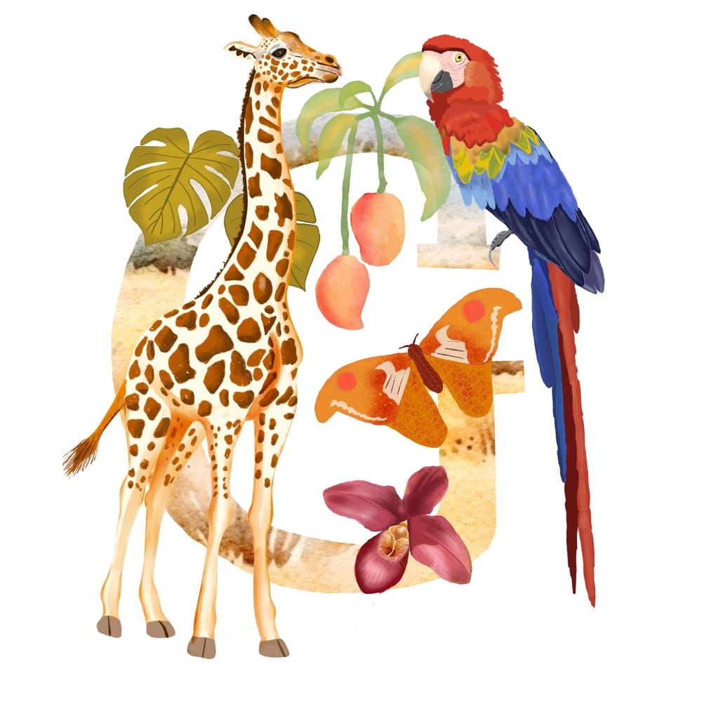 Tropical alphabet and giraffe project - image 1 - student project