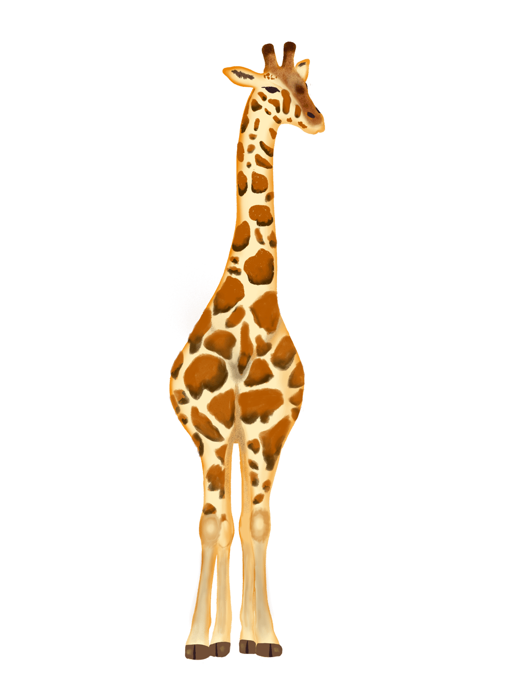 Great Giraffes - image 1 - student project
