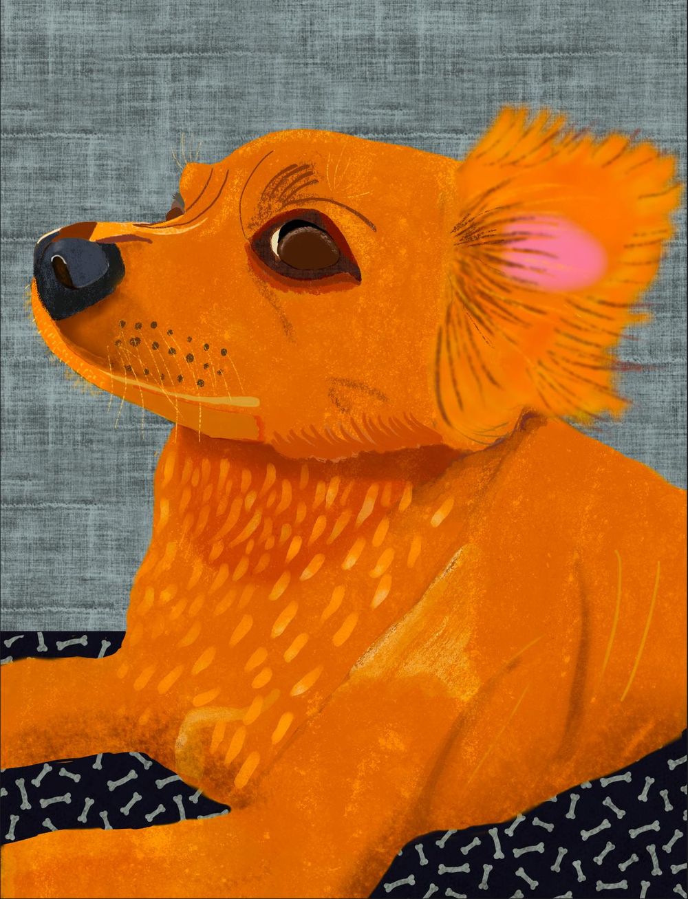 Eddy - image 1 - student project