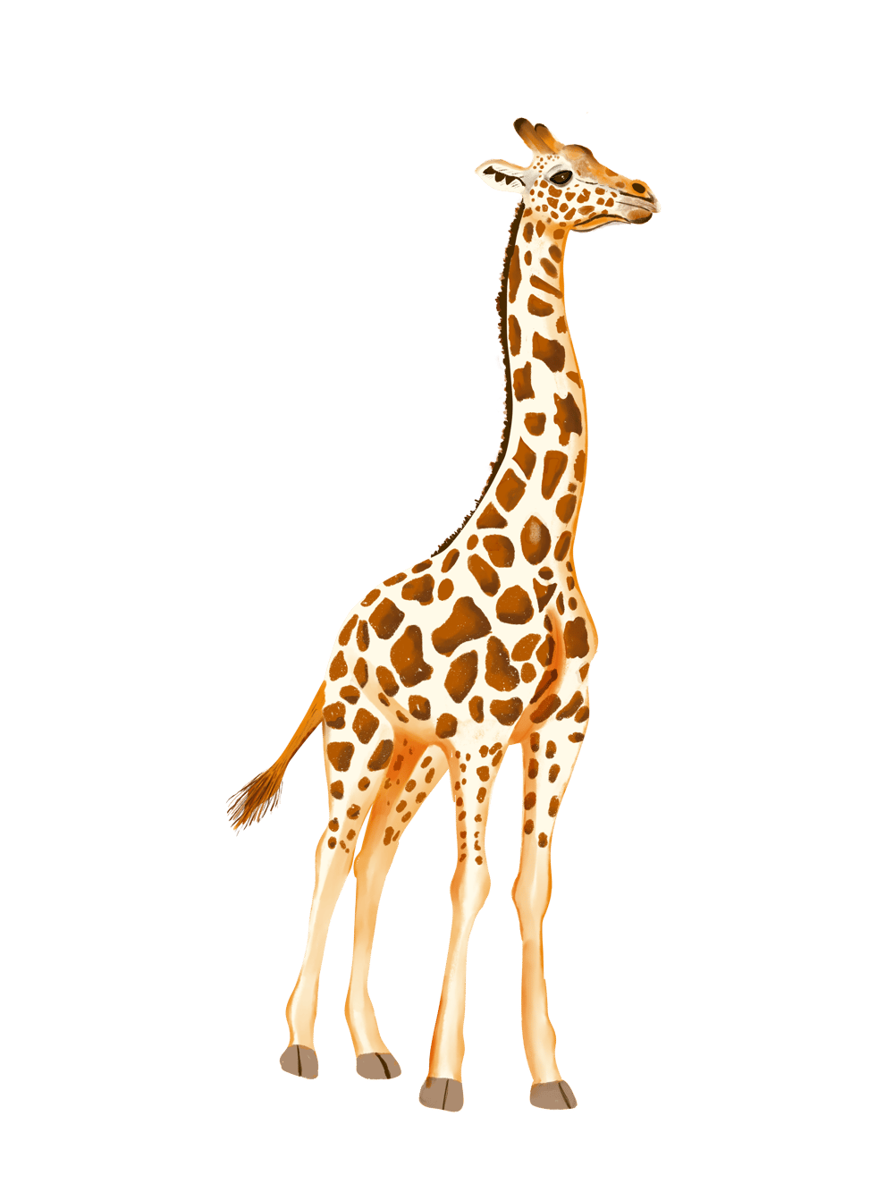 Great Giraffes - image 2 - student project