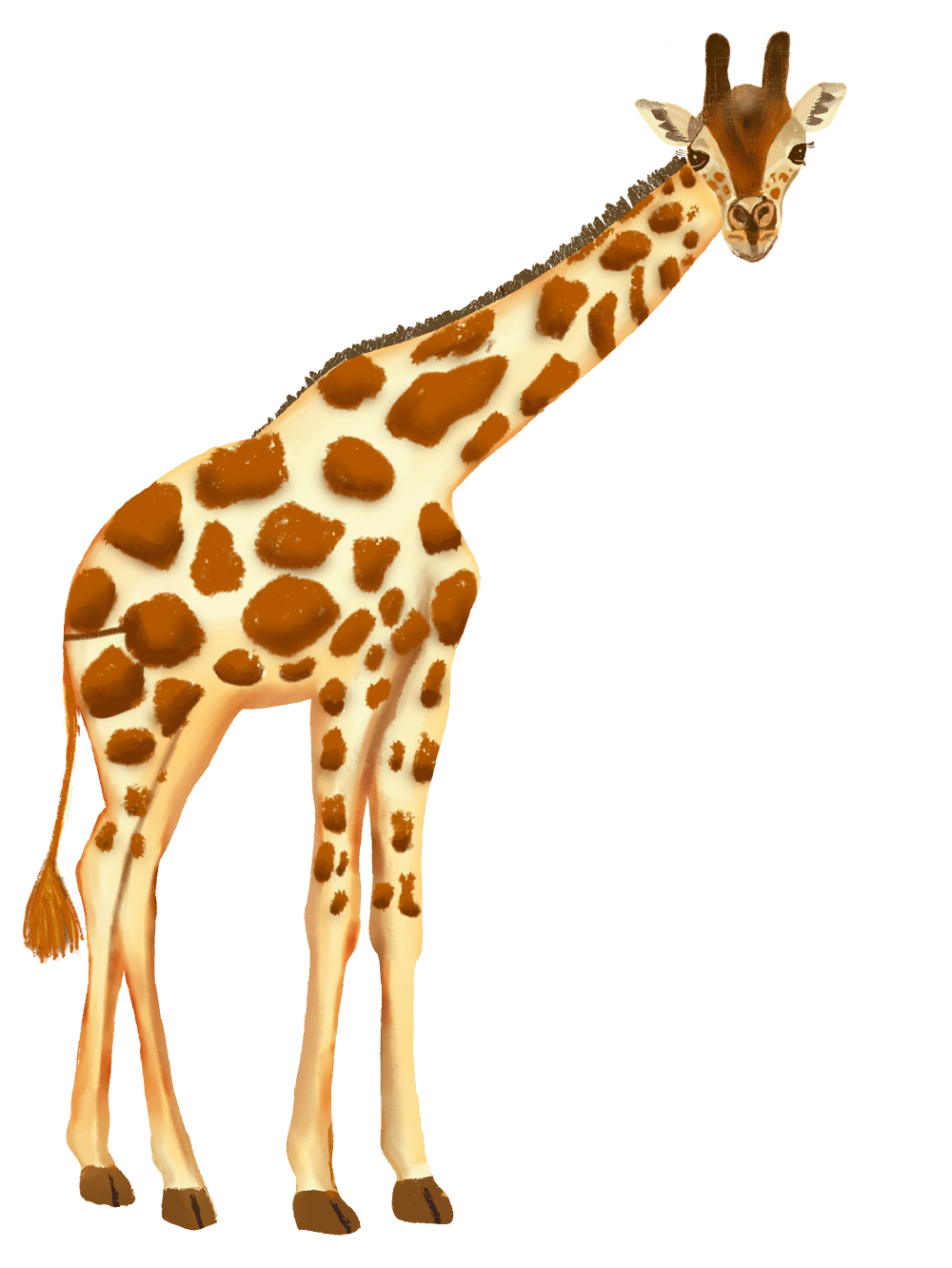 Great Giraffes - image 3 - student project