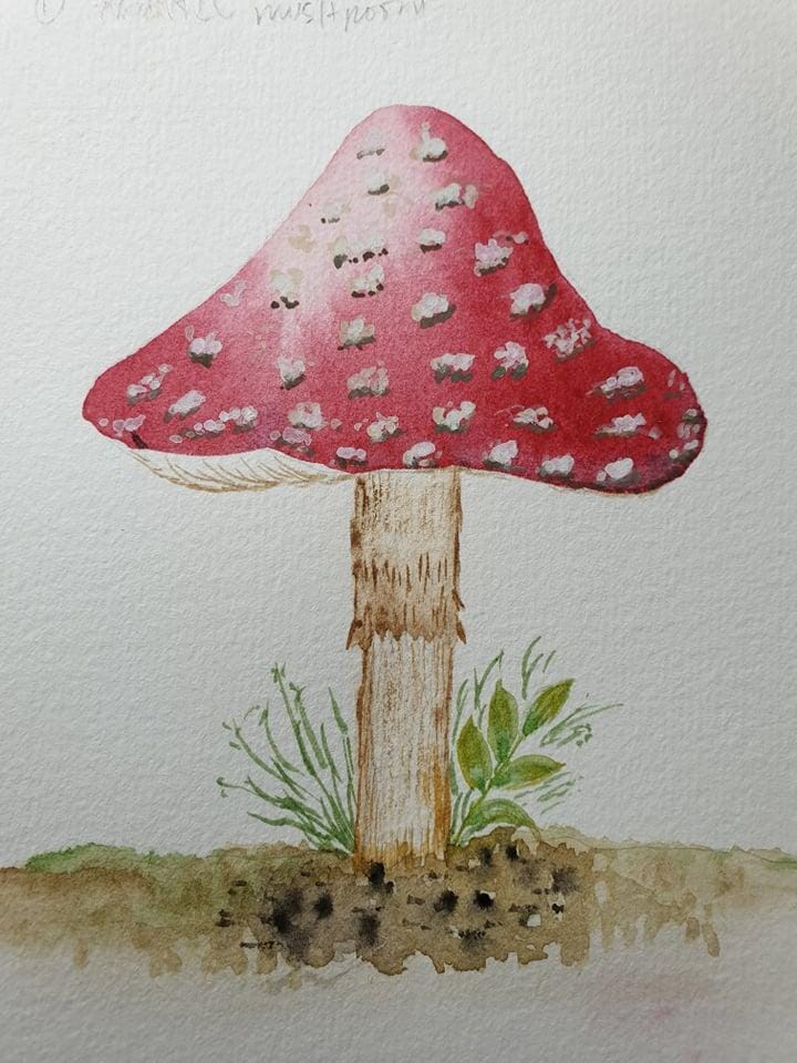 mushroom practice - image 4 - student project