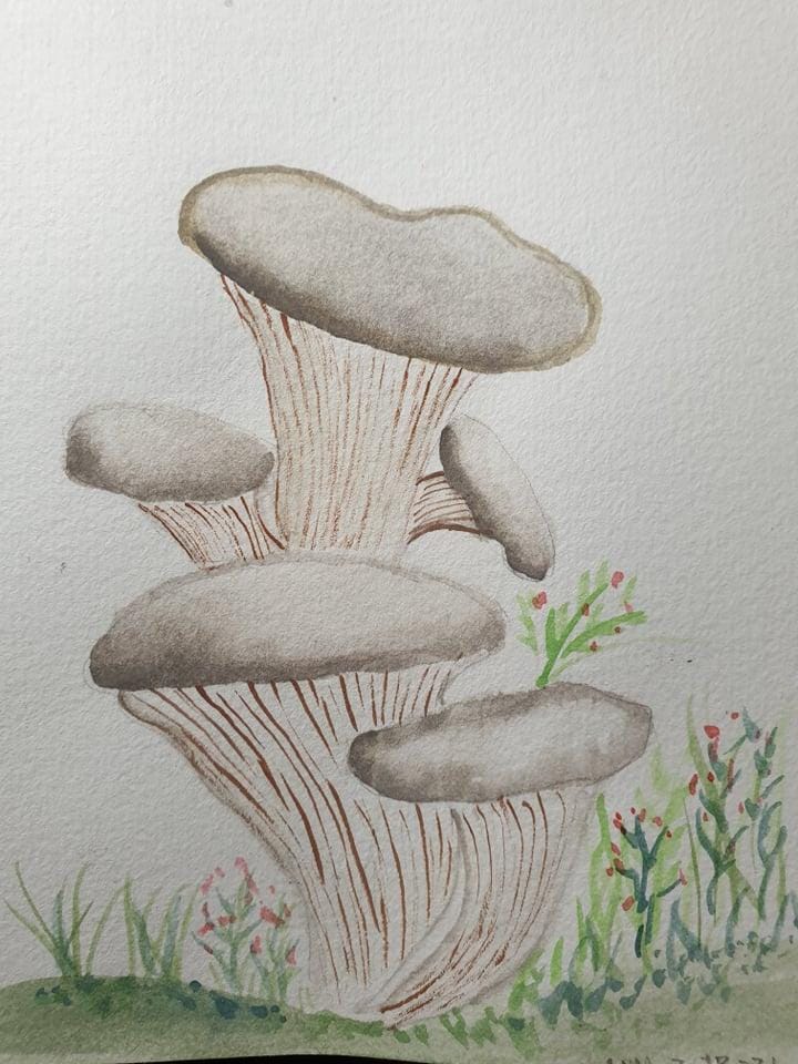 mushroom practice - image 7 - student project