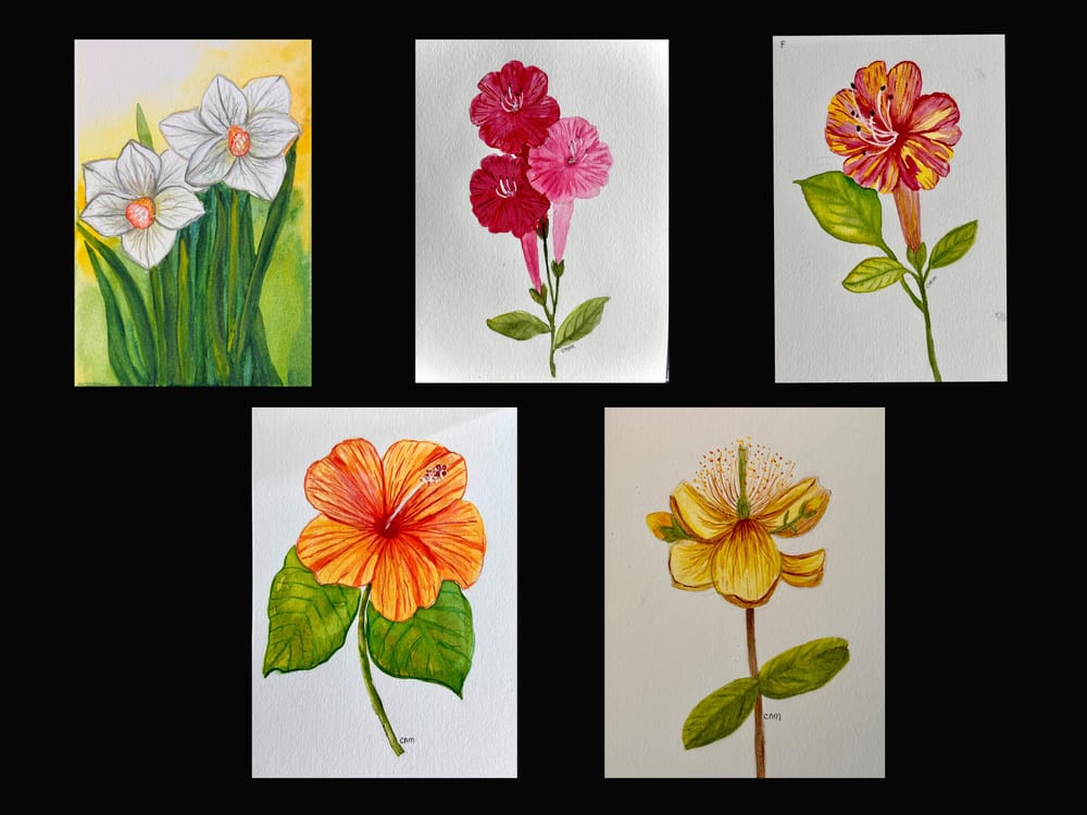 Flowers - image 4 - student project