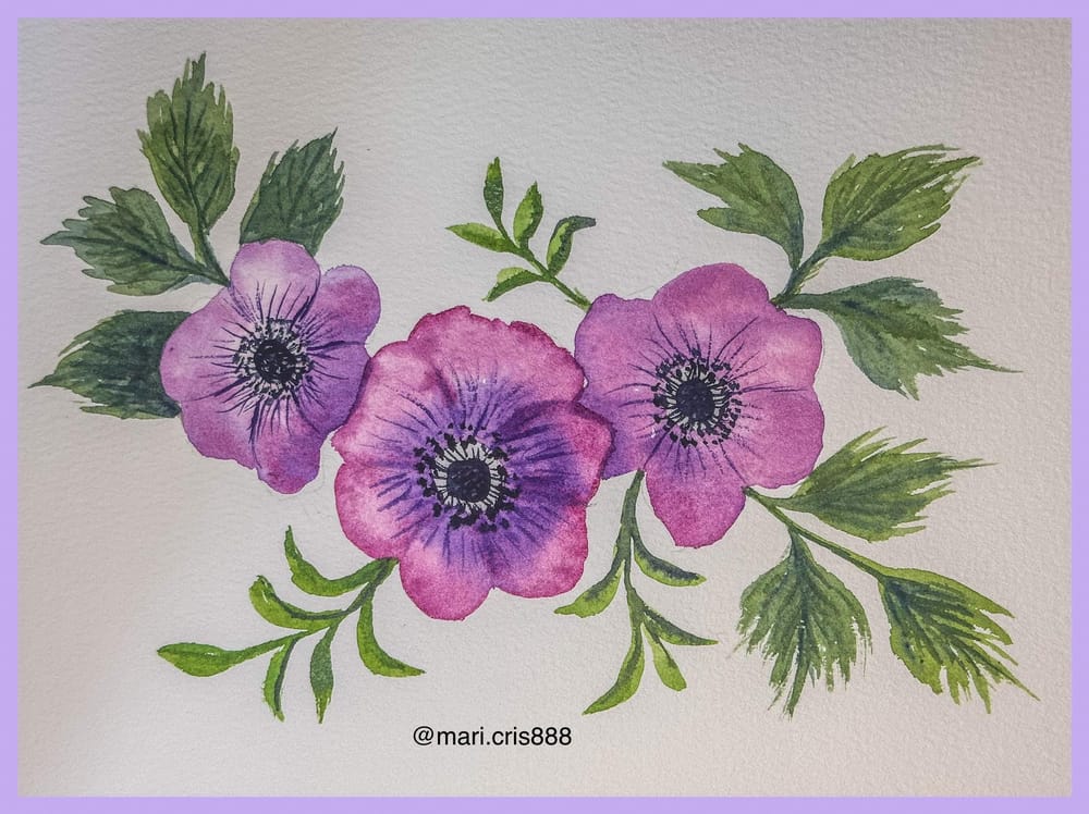 Anemones - image 1 - student project