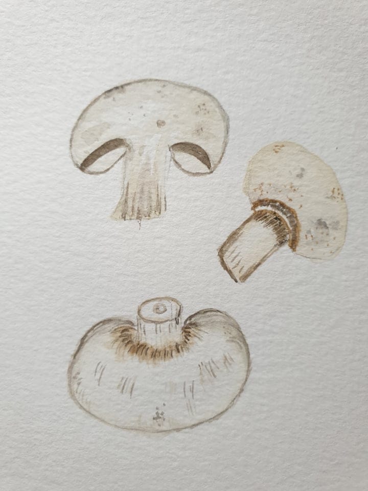 mushroom practice - image 10 - student project
