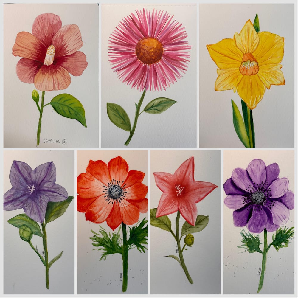 Flowers - image 5 - student project