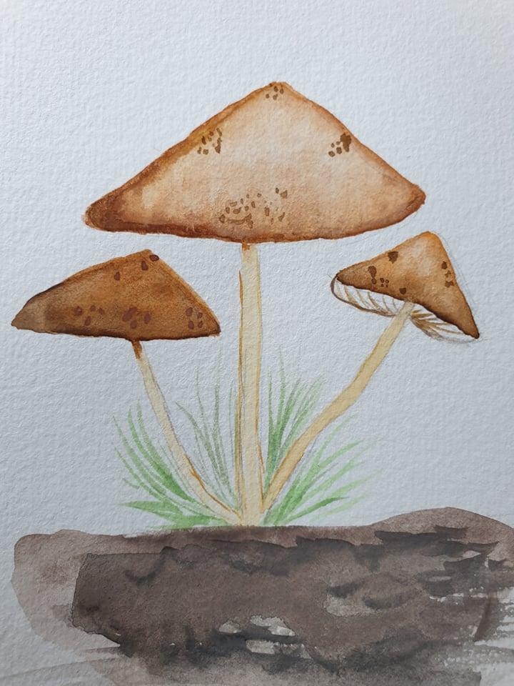 mushroom practice - image 5 - student project