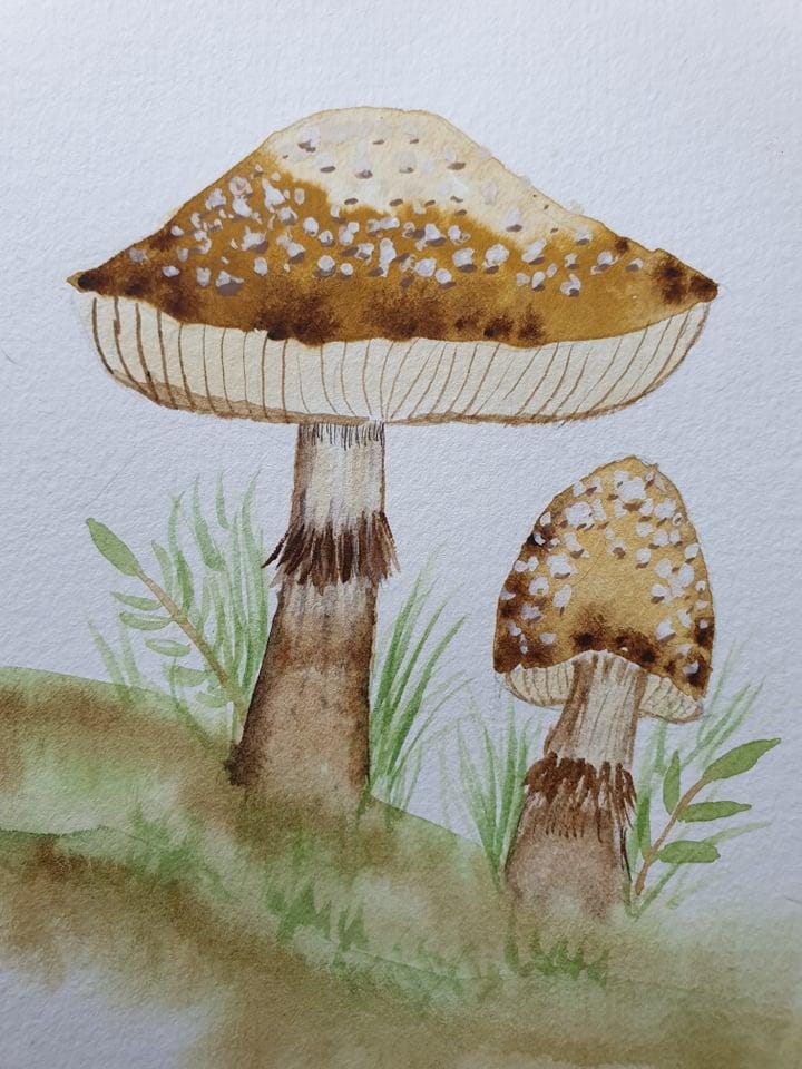 mushroom practice - image 9 - student project