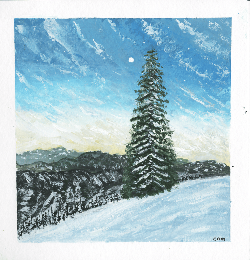 winter season - image 8 - student project