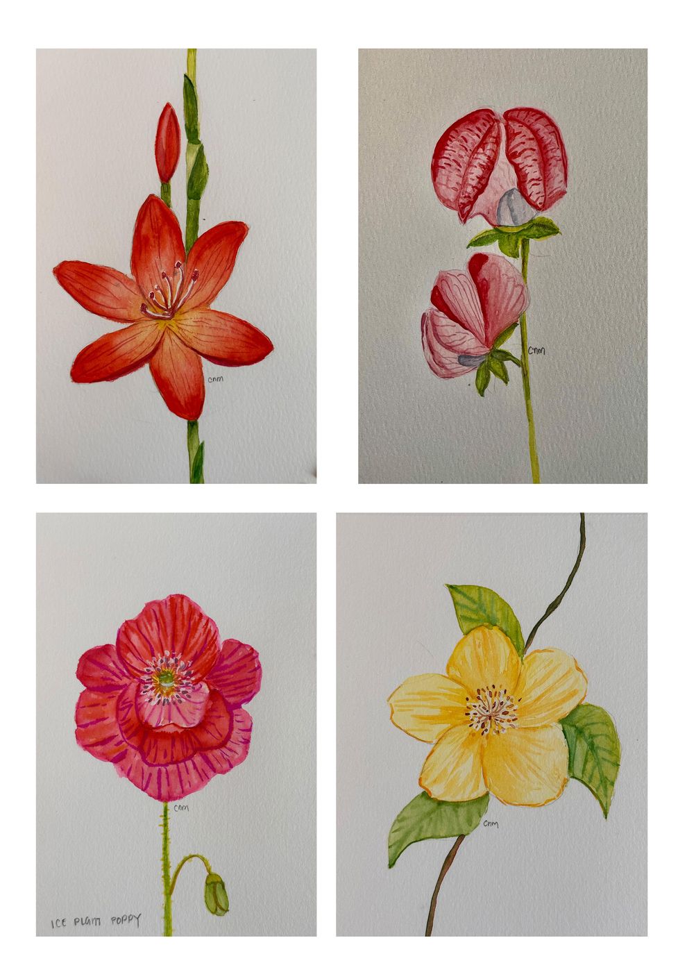 Flowers - image 3 - student project