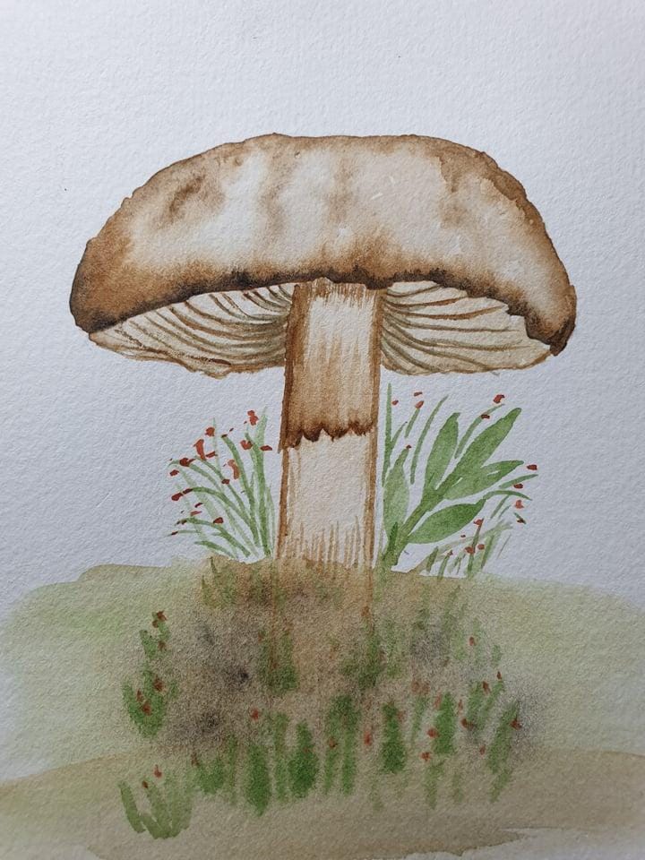 mushroom practice - image 8 - student project
