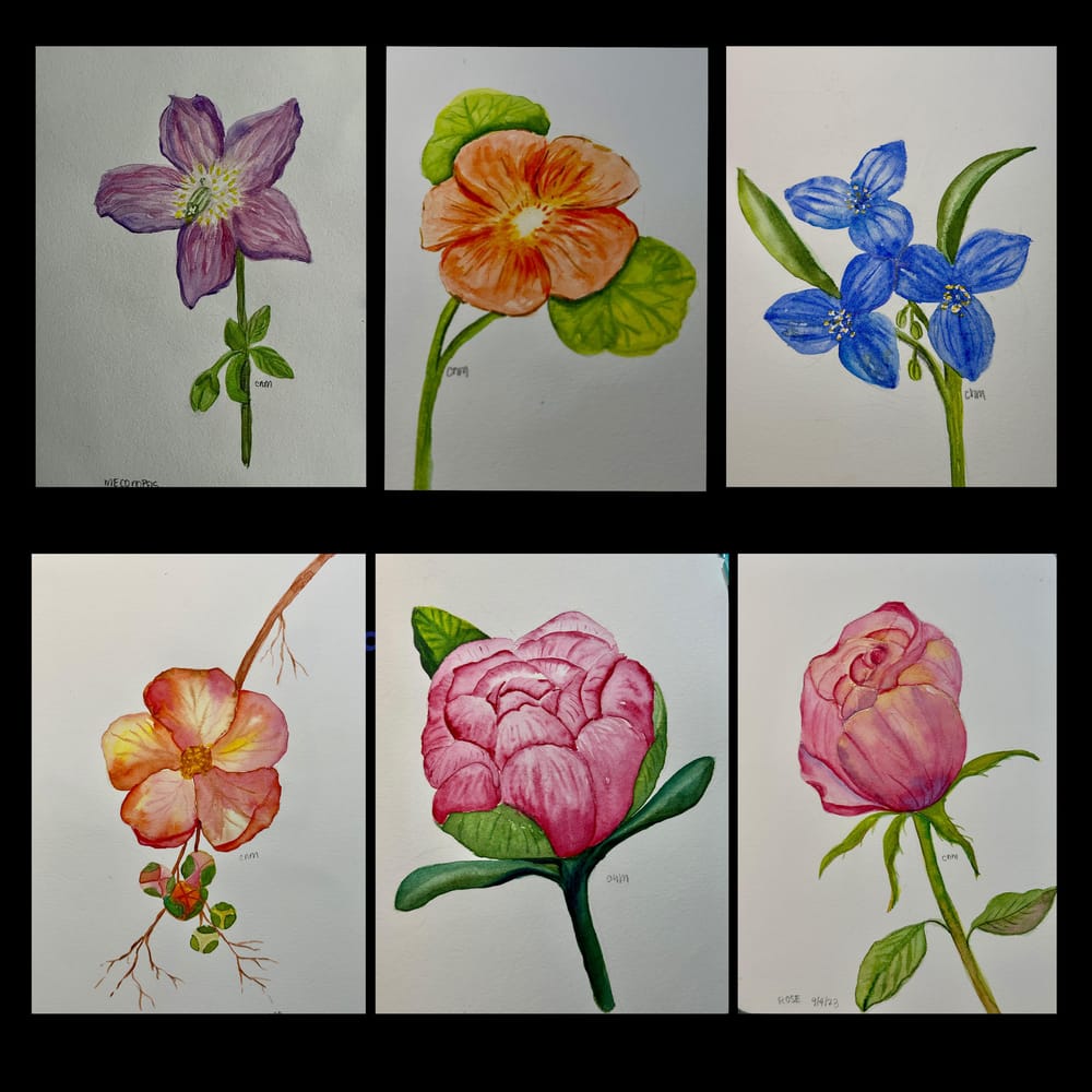 Flowers - image 2 - student project