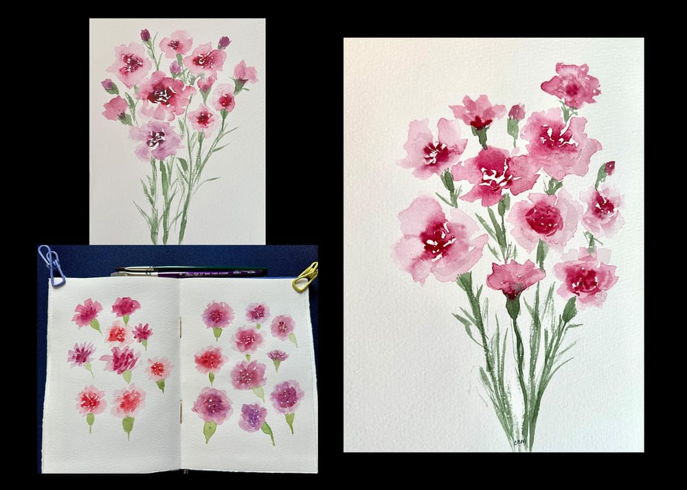 Carnation - image 1 - student project