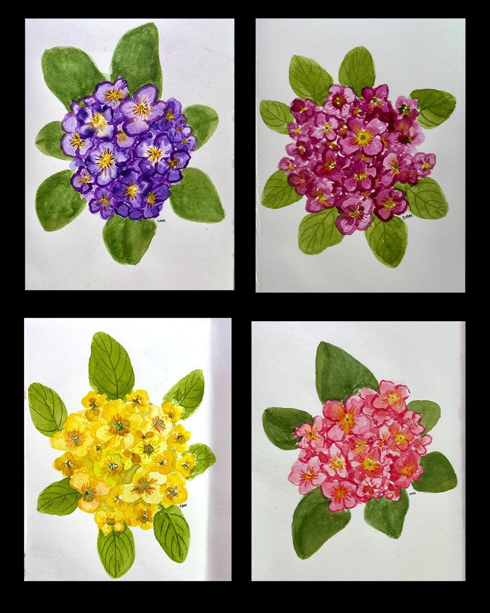 Primrose - image 1 - student project