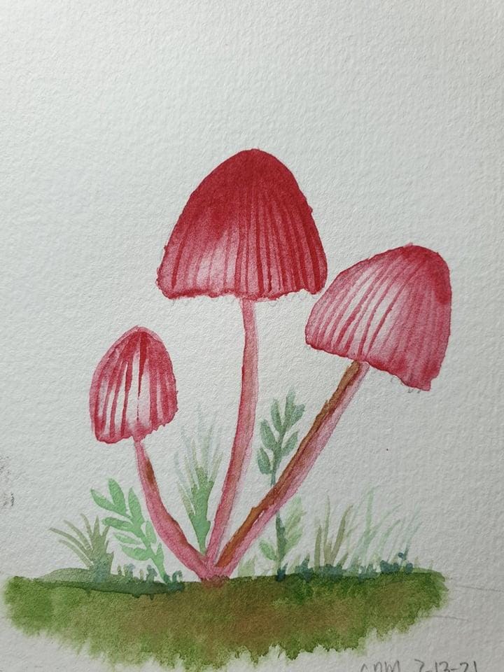 mushroom practice - image 3 - student project