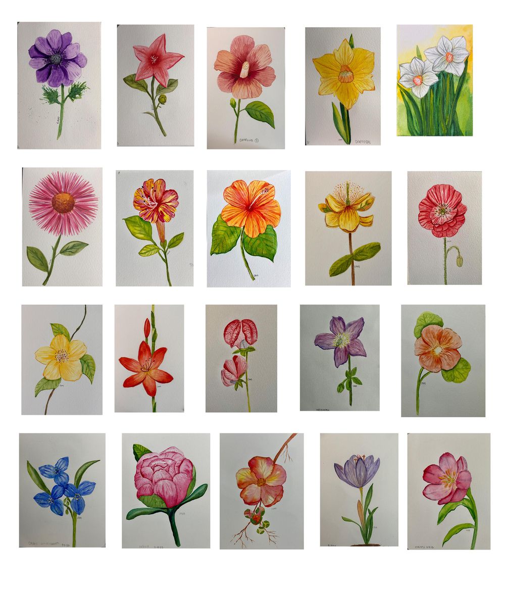 Flowers - image 1 - student project