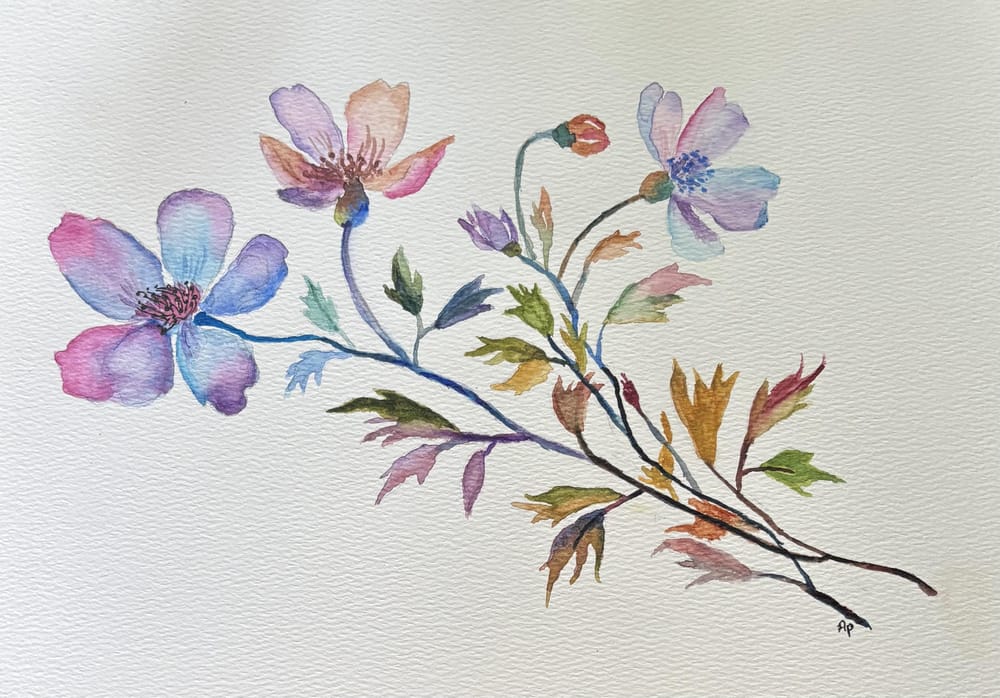 Beginner botanicals with Will Elliston - image 1 - student project