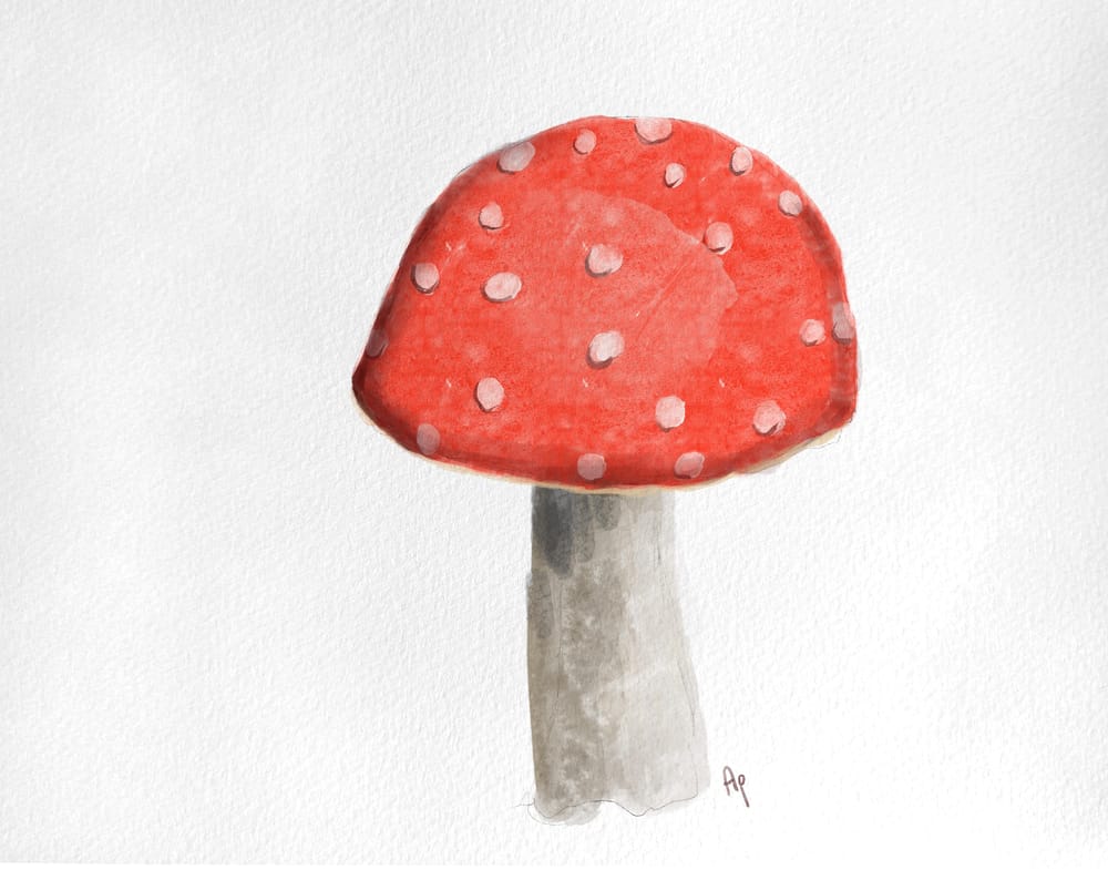 Getting started in digital watercolour painting - image 1 - student project