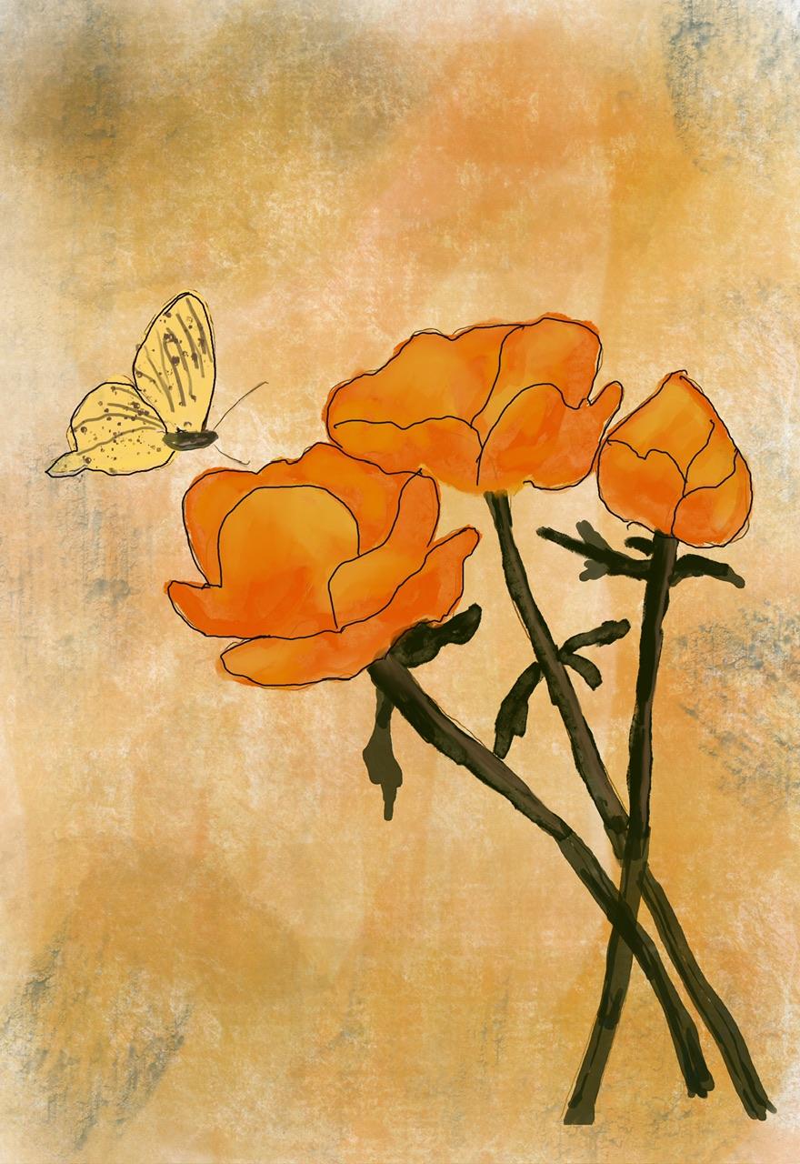 Butterfly in procreate - image 1 - student project