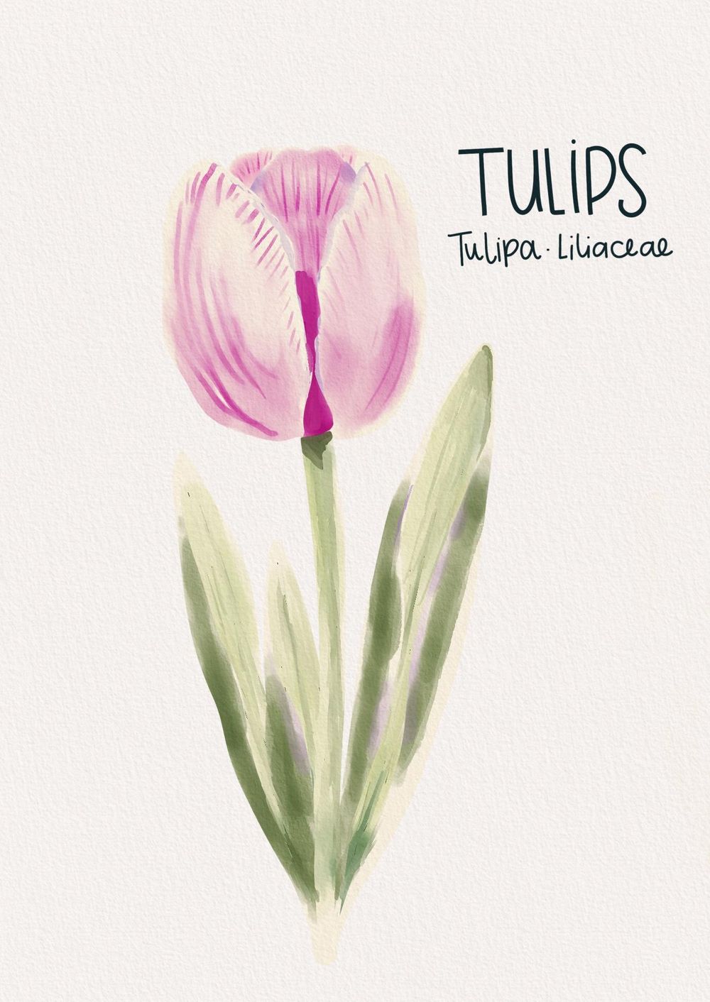 Paint tulips in procreate - image 1 - student project