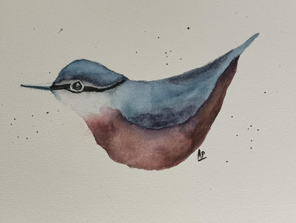 Simple bird in watercolour with Ola Alhamedy - image 1 - student project