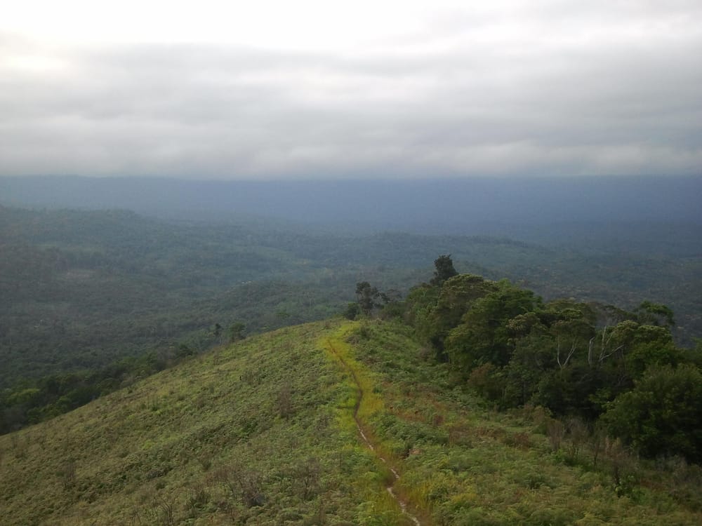 Mountain Walk in Paramakatoi - image 1 - student project