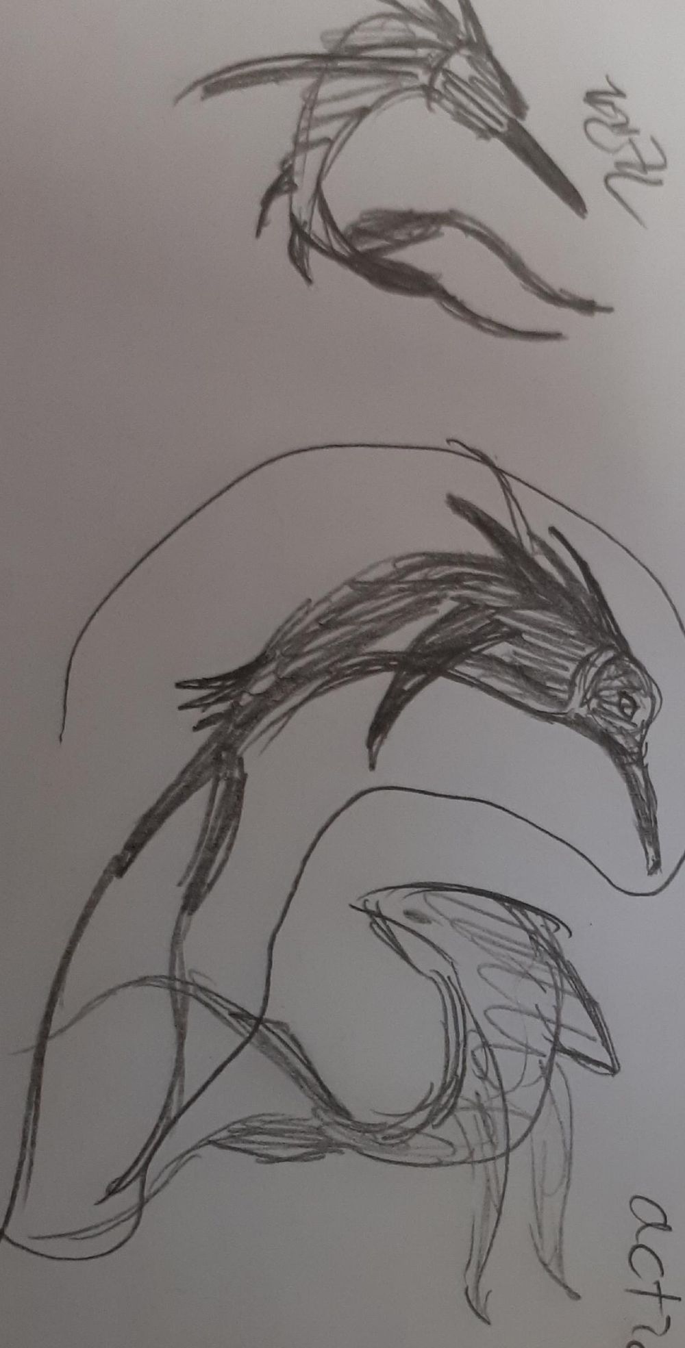 drawing sea monsters - quinller - image 2 - student project