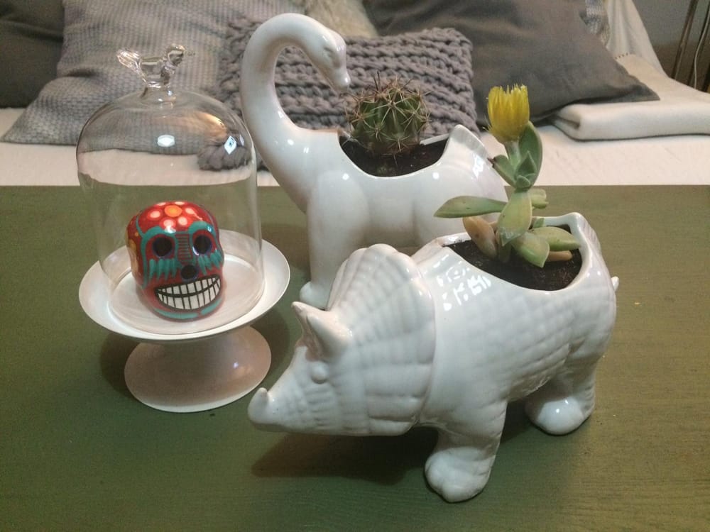 Cactus and Dinosaurs - image 6 - student project
