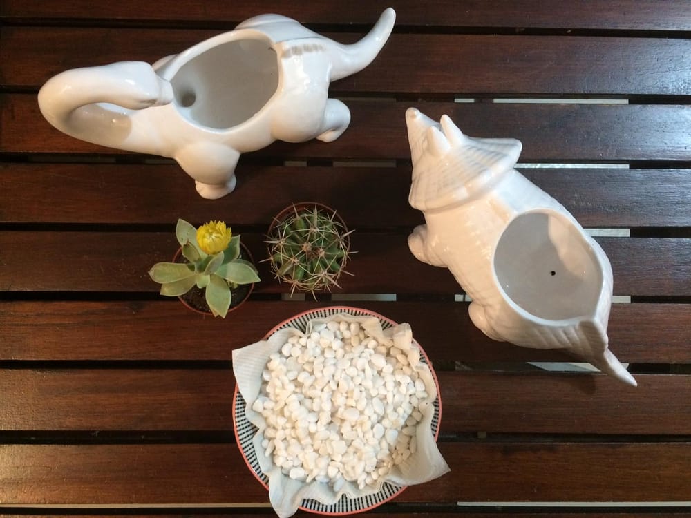 Cactus and Dinosaurs - image 2 - student project