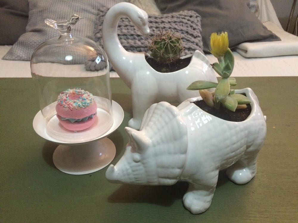 Cactus and Dinosaurs - image 5 - student project