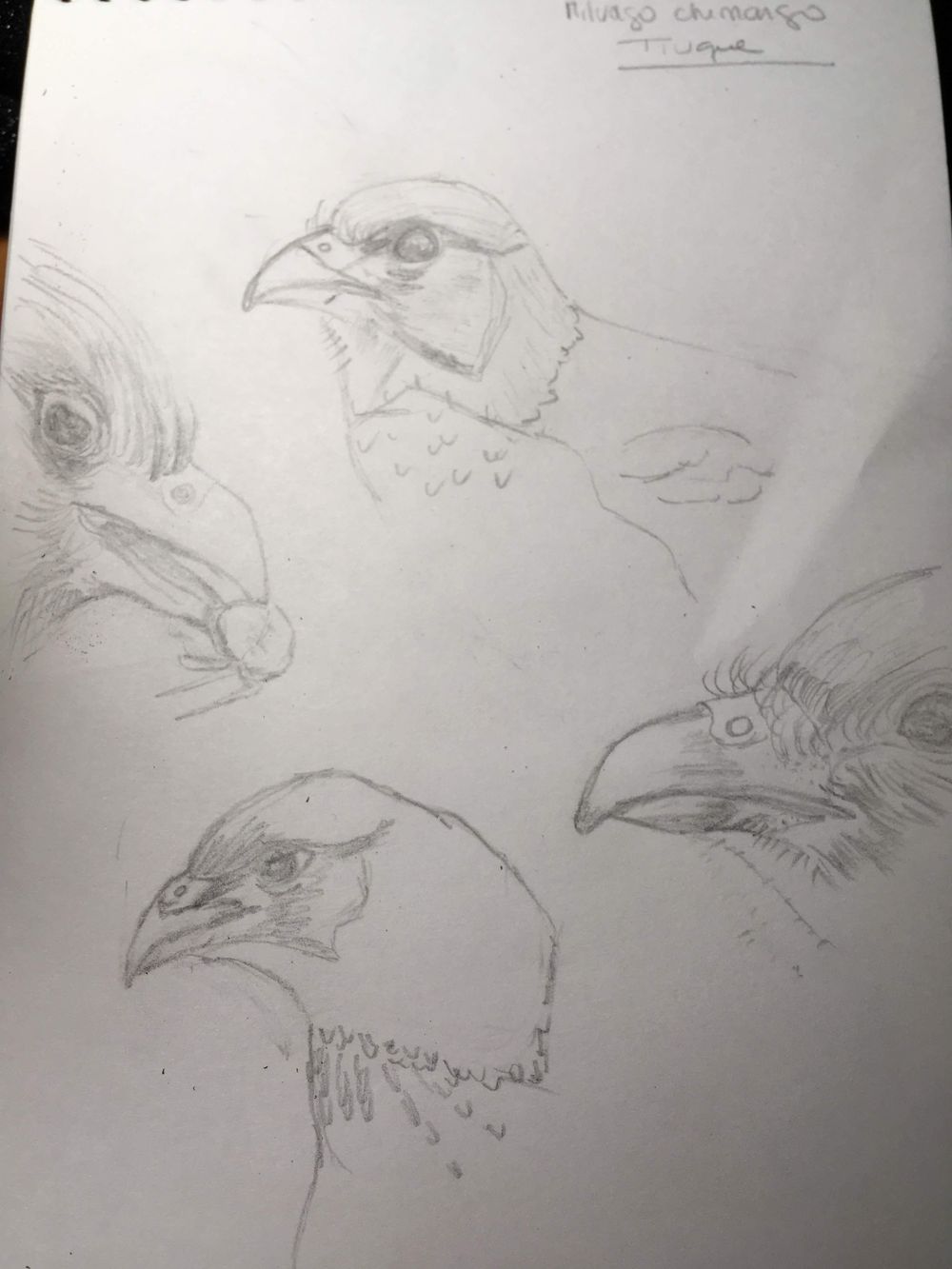 First time trying seriously - image 2 - student project