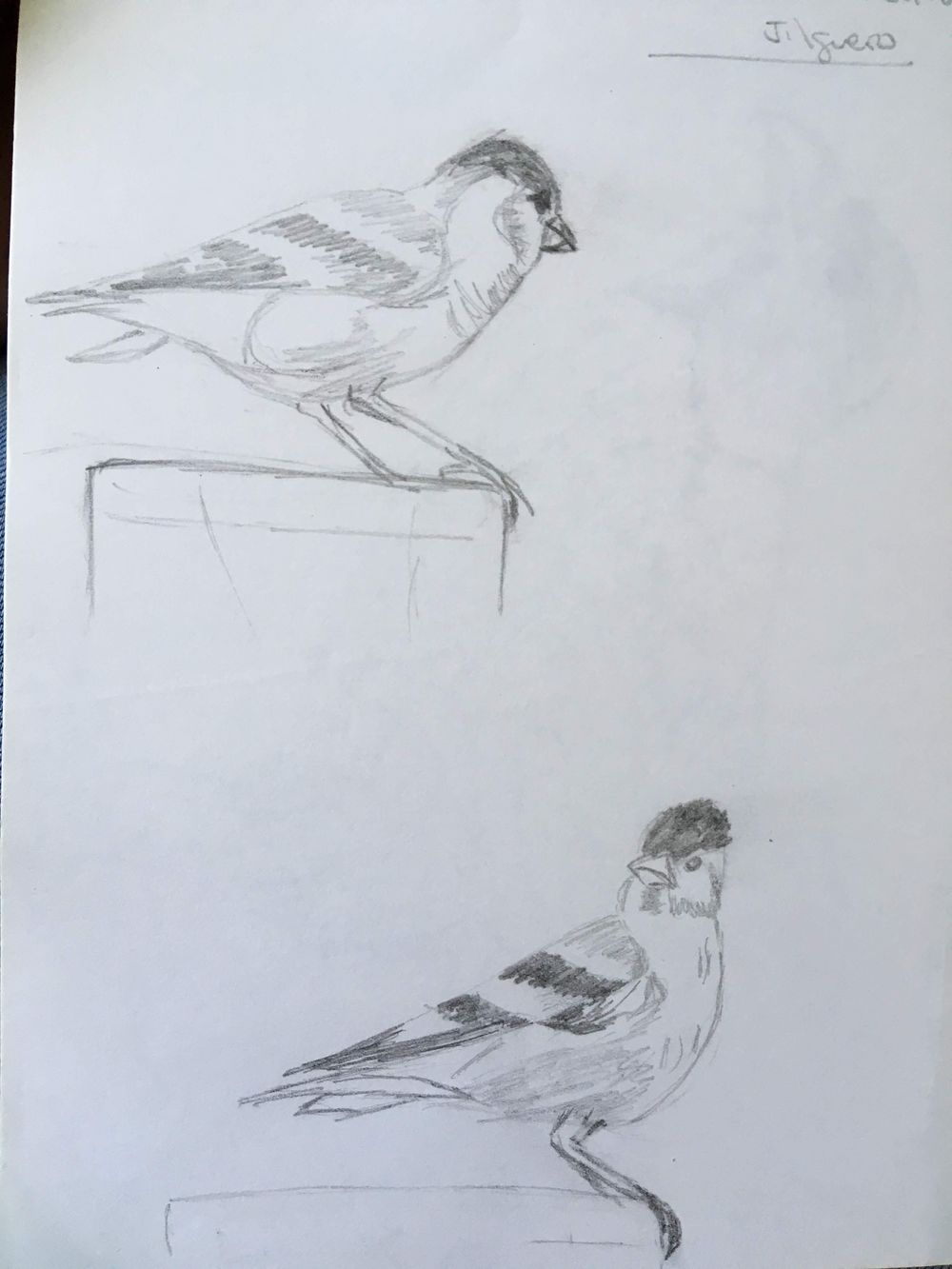 First time trying seriously - image 3 - student project