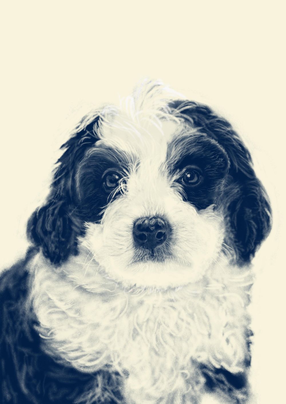 Class Submissions - image 4 - student project